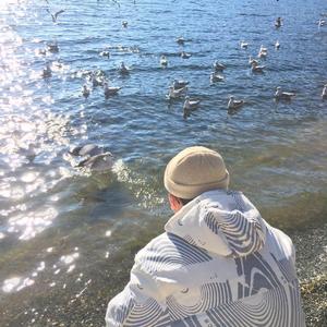 精品国产一区二区二三区在线观看
